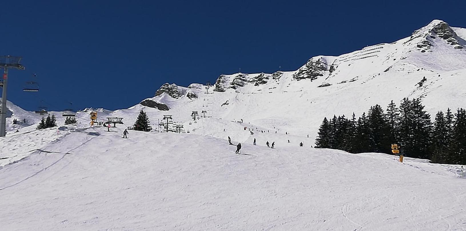 Bonavau Studio3 Champéry Buitenkant foto